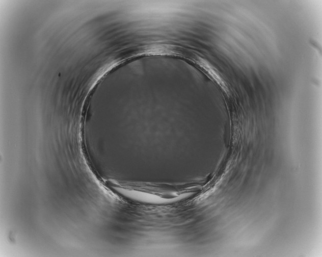 X0000095540853200712281542