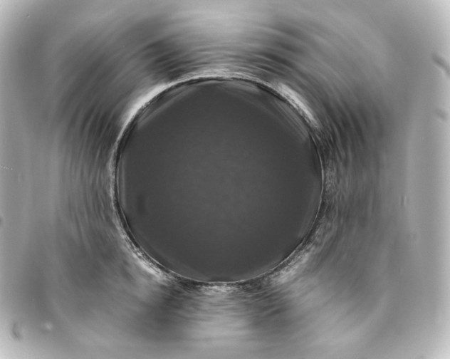 X0000095540854200712281542