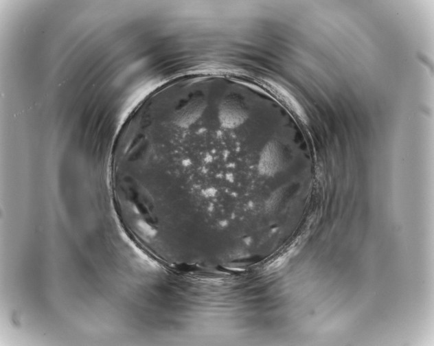 X0000095540855200712281542