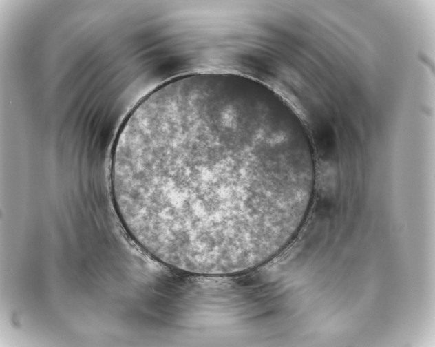 X0000095540856200712281542