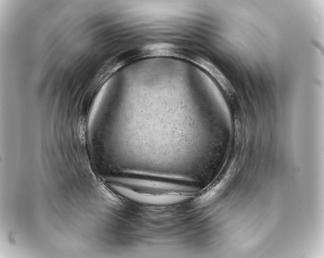 X0000095540857200712281542