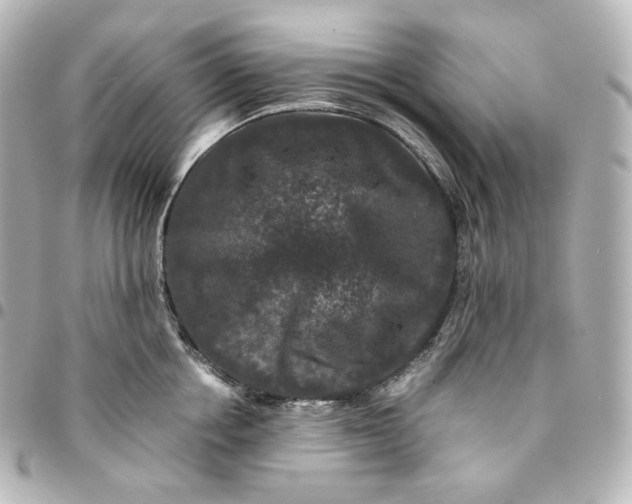 X0000095540858200712281542