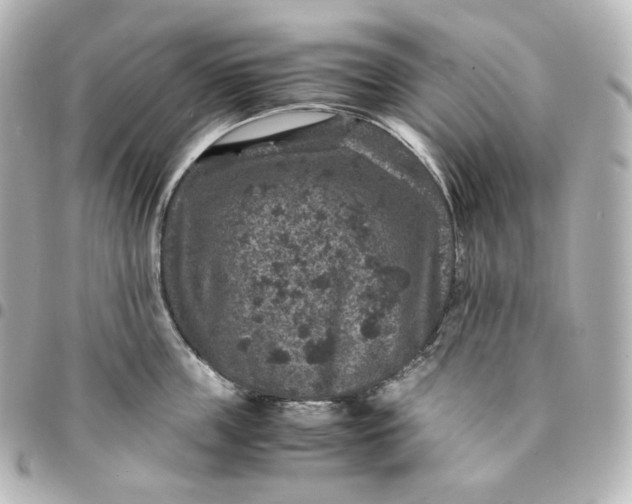 X0000095540859200712281542