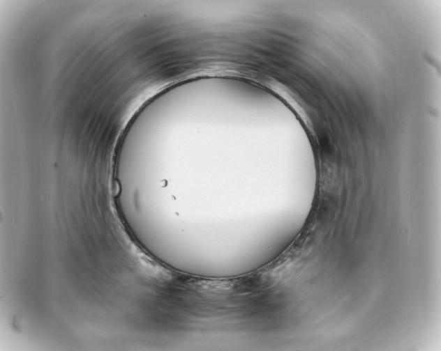 X0000095540861200712281542