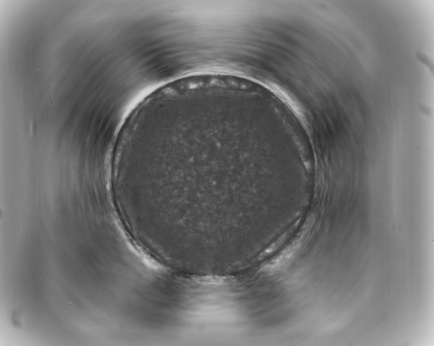 X0000095540862200712281542