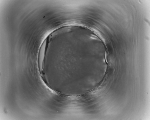 X0000095540863200712281542