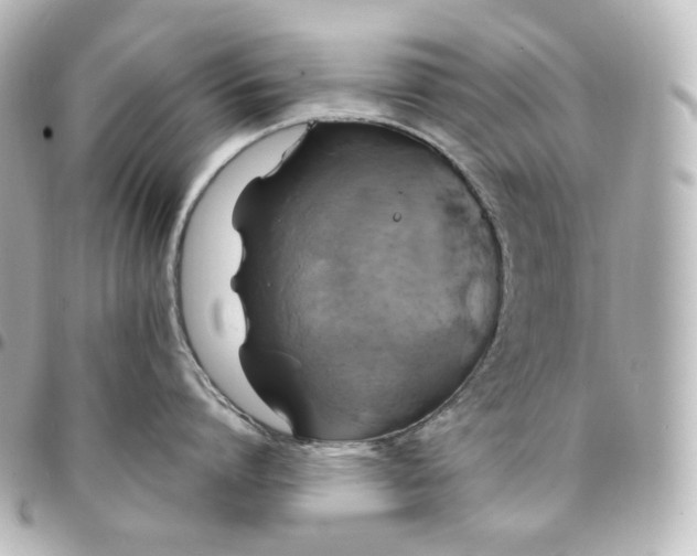 X0000095540864200712281542