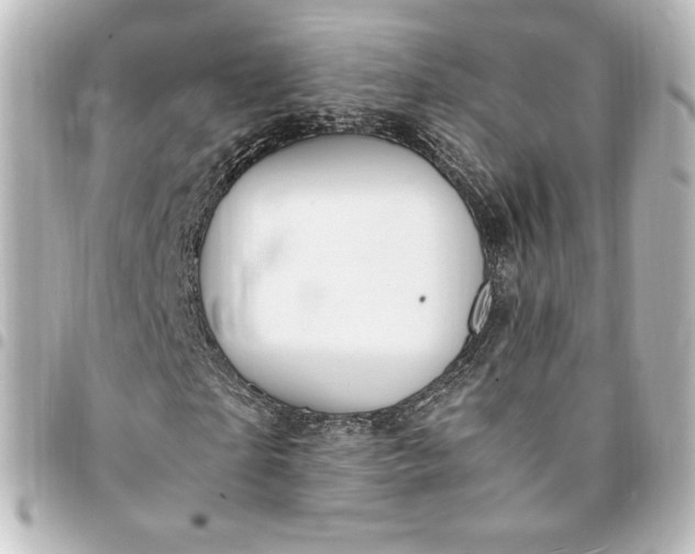 X0000095540865200712281542