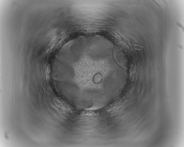 X0000095540866200712281542