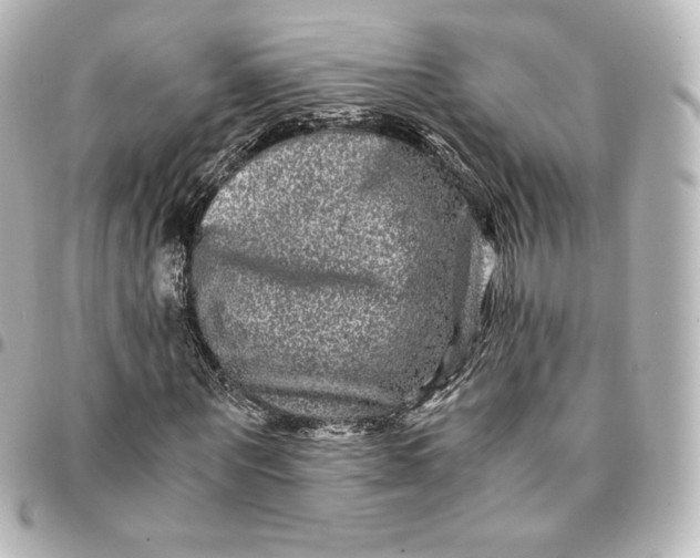 X0000095540867200712281542