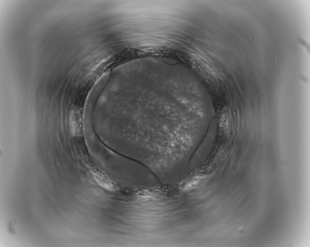 X0000095540868200712281542