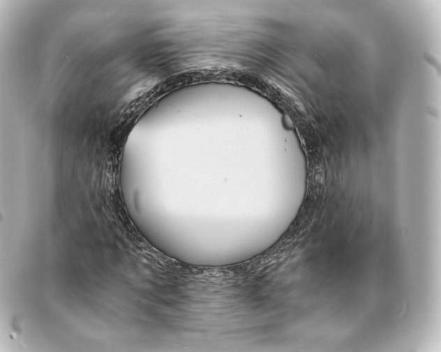 X0000095540869200712281542