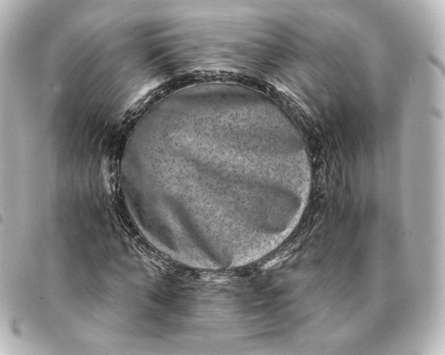 X0000095540870200712281542