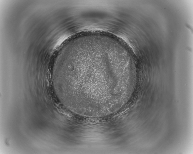 X0000095540871200712281542