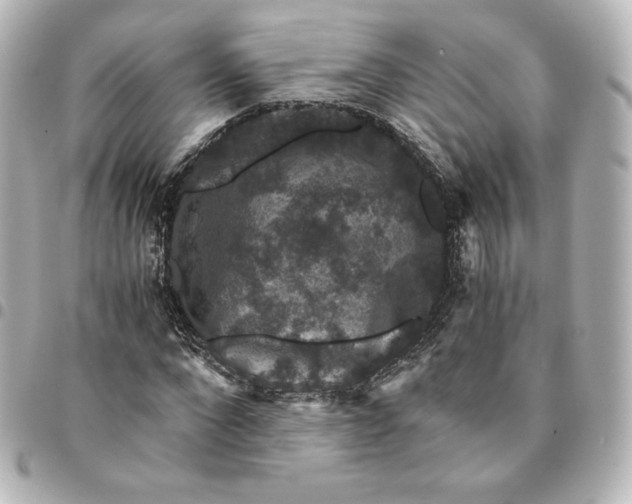 X0000095540872200712281542