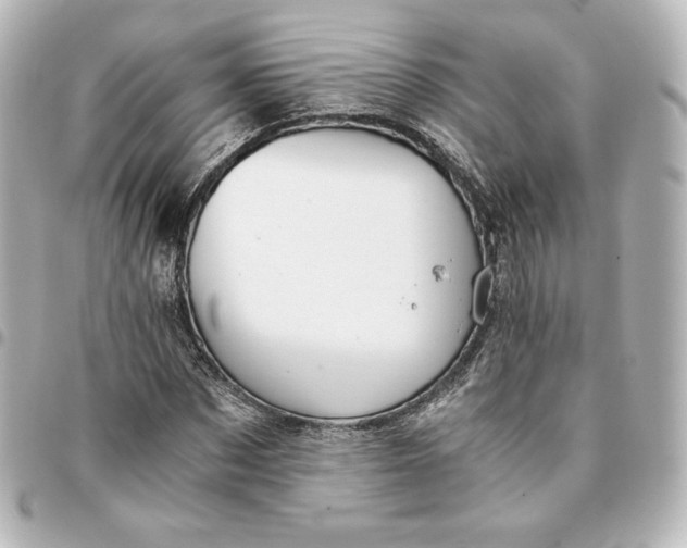 X0000095540873200712281542