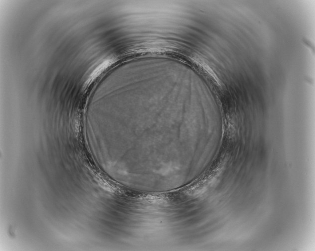 X0000095540874200712281542