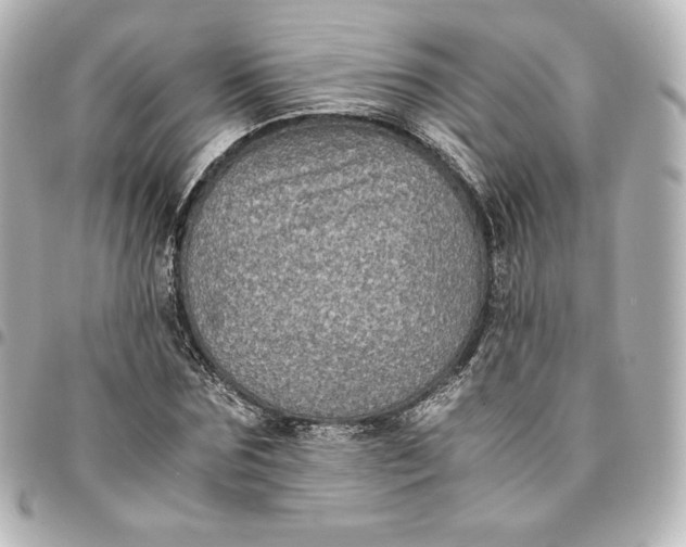 X0000095540875200712281542