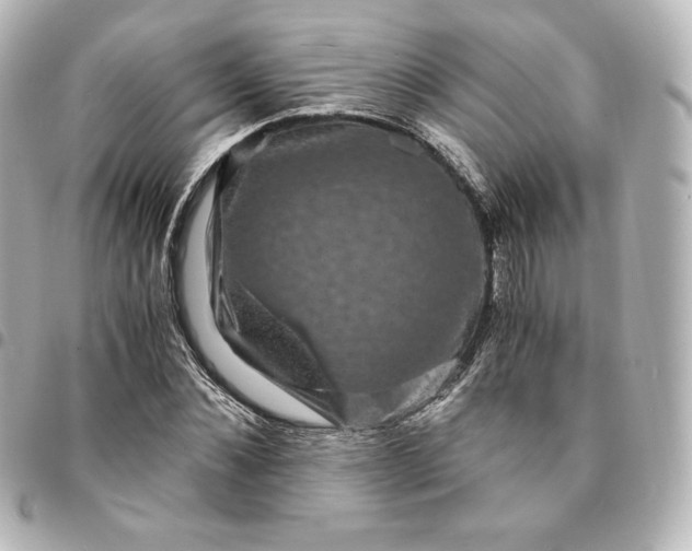 X0000095540876200712281542