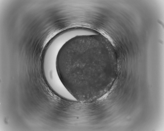 X0000095540877200712281542