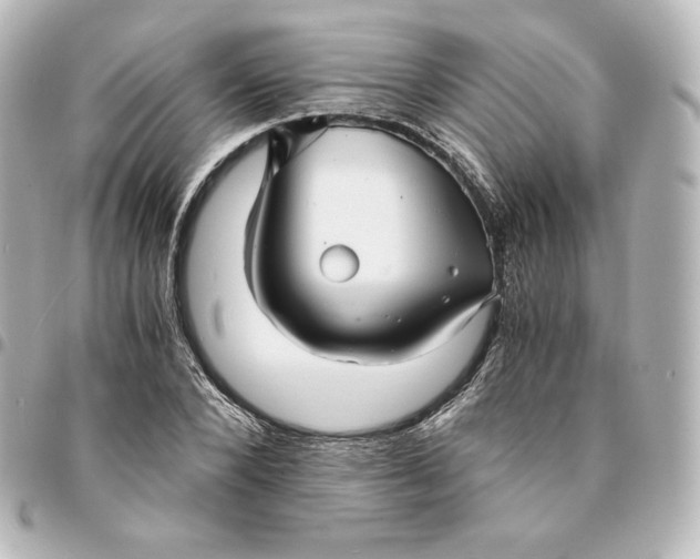 X0000095540880200712281542