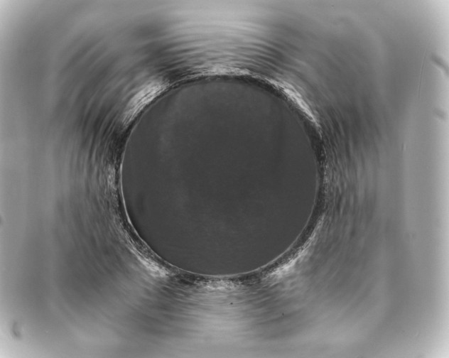 X0000095540881200712281542