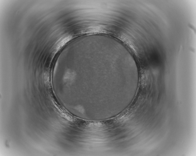 X0000095540882200712281542