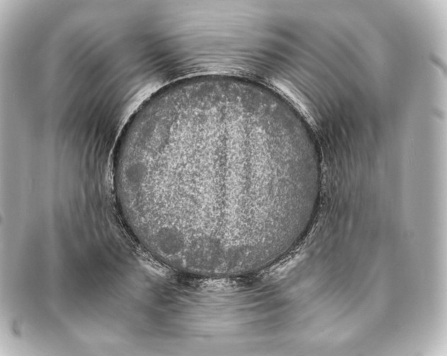 X0000095540883200712281542