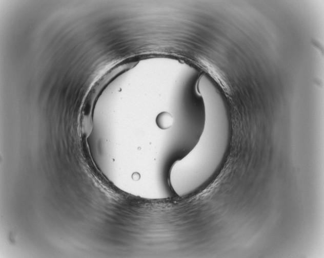 X0000095540884200712281542