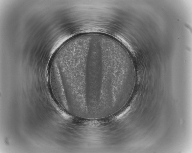 X0000095540885200712281542