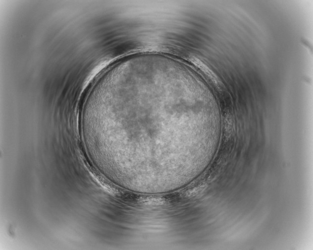 X0000095540886200712281542