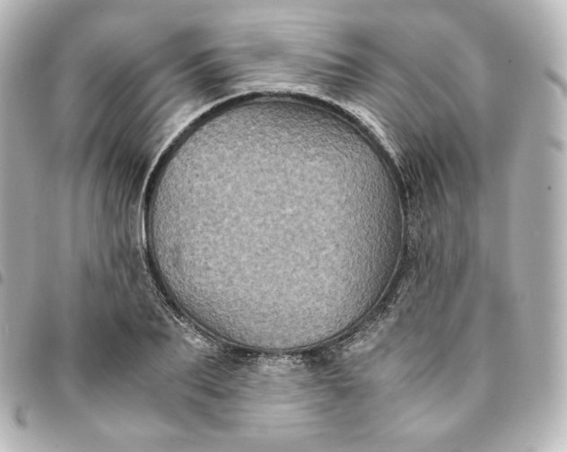 X0000095540887200712281542