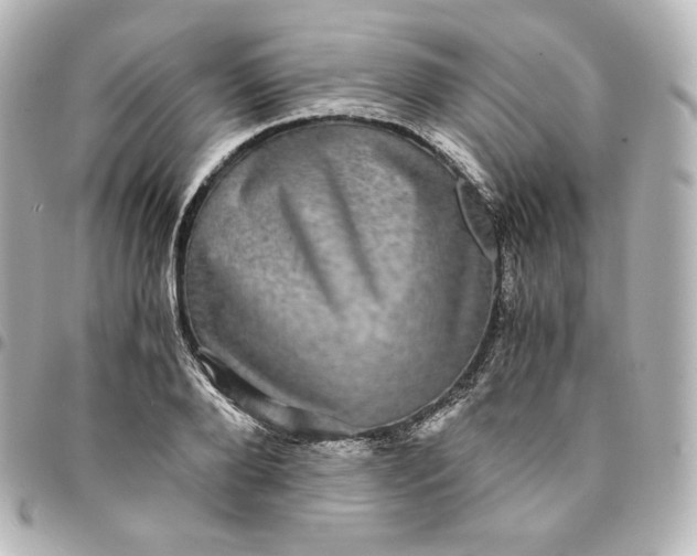 X0000095540888200712281542