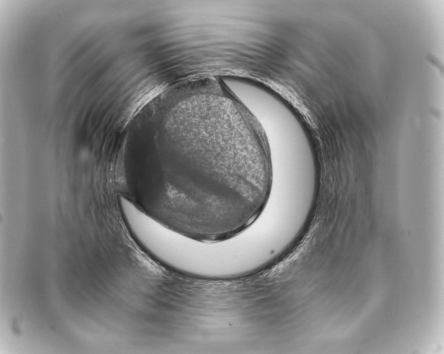 X0000095540889200712281542