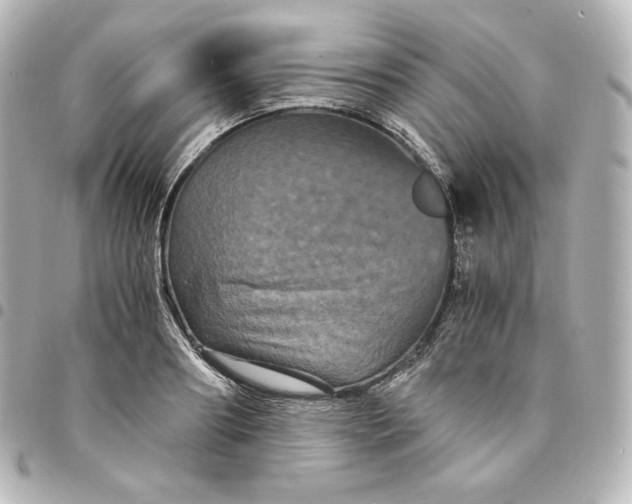 X0000095540890200712281542