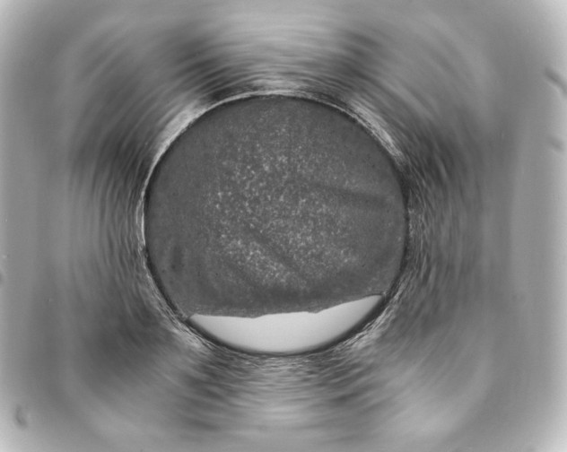 X0000095540891200712281541