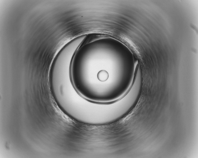 X0000095540892200712281541