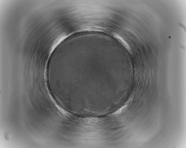 X0000095540893200712281541