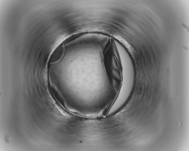 X0000095540894200712281541