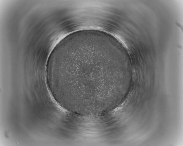 X0000095540895200712281541