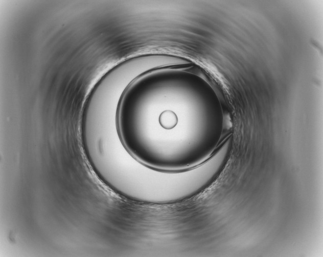 X0000095540896200712281541