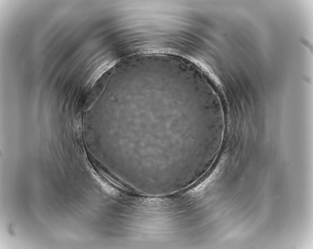 X0000095540897200712281541