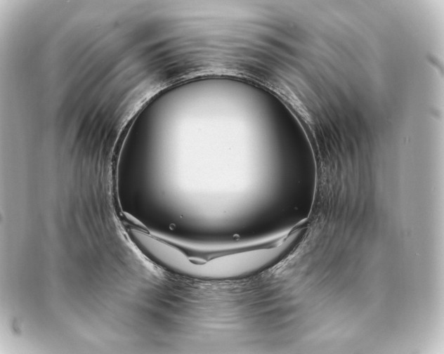 X0000095540898200712281541