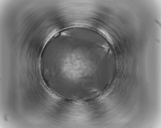 X0000095540899200712281541