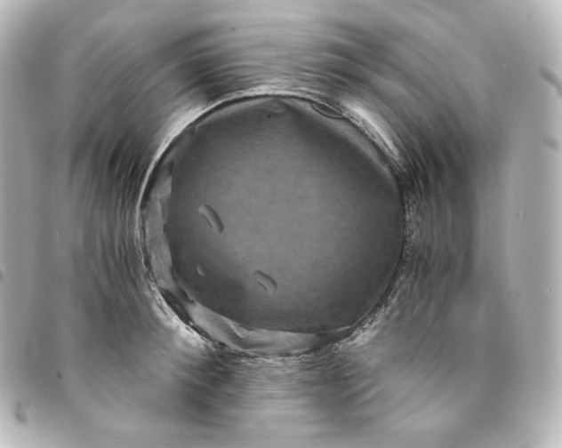 X0000095540900200712281541