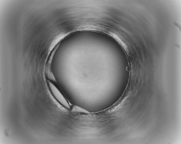 X0000095540901200712281541