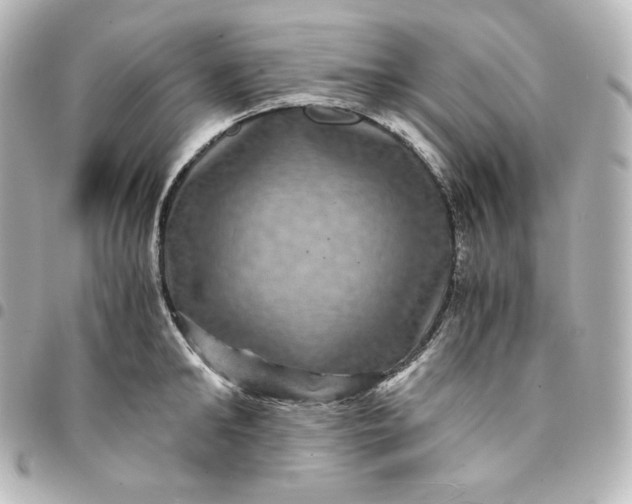 X0000095540902200712281541