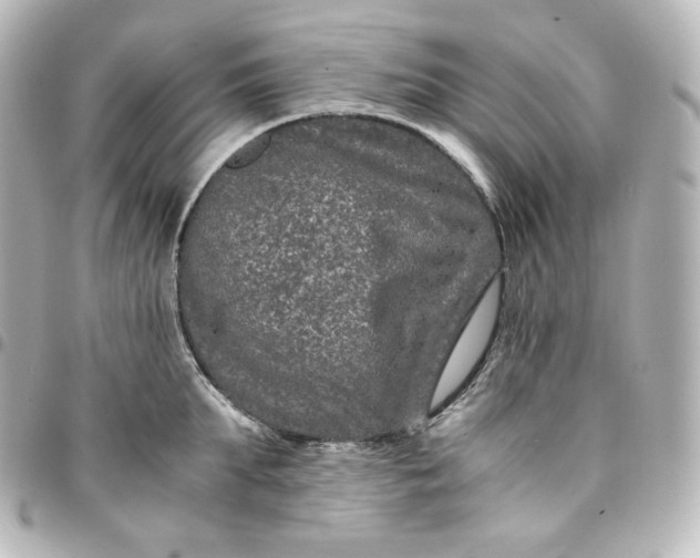 X0000095540903200712281541