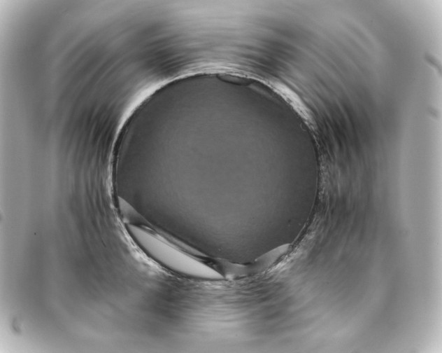 X0000095540904200712281541