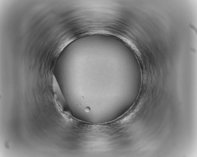 X0000095540905200712281541